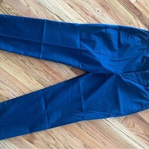 Stylish Blue Express Dress Pants
